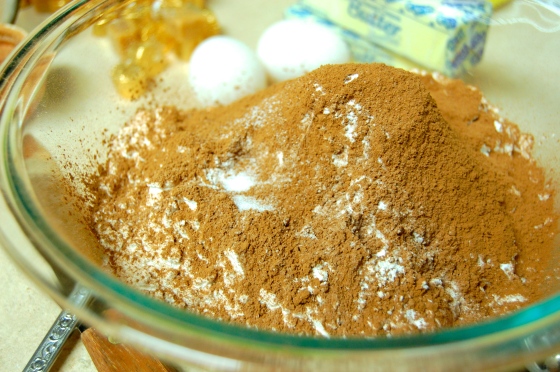 Salted Chocolate-Caramel Rounds | thelittlebluemixer
