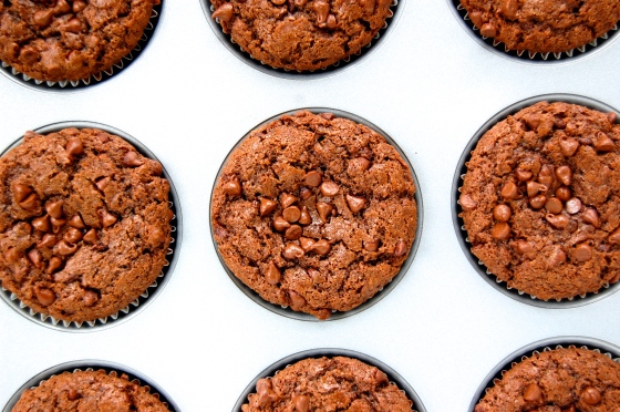 Double Chocolate Muffins | thelittlebluemixer