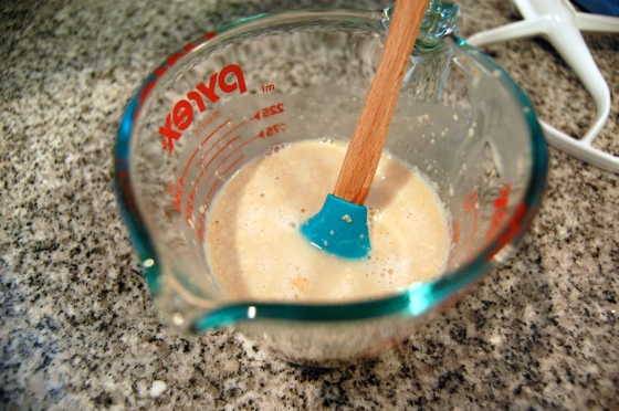 Cinnamon Rolls Part 1 - Basic Sweet Dough | The Little Blue Mixer