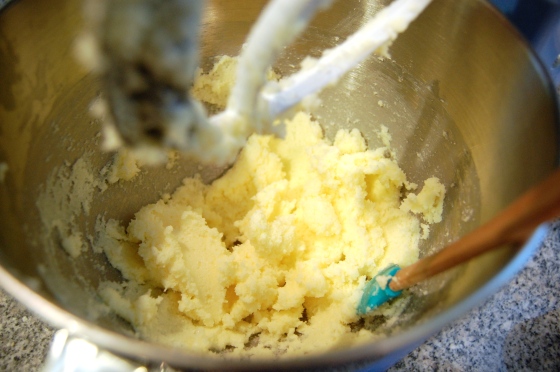 Cinnamon Rolls Part 1 - Basic Sweet Dough | The Little Blue Mixer